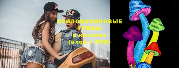 винт Богданович
