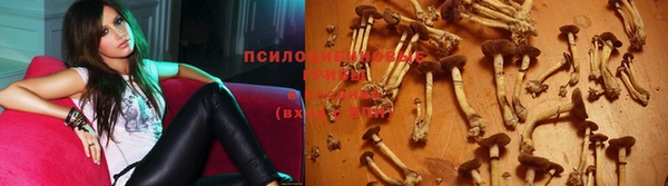 винт Богданович