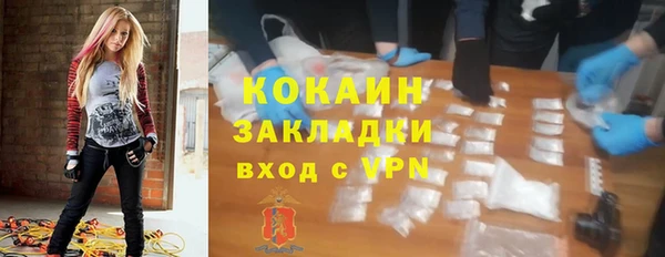 мескалин Богородицк