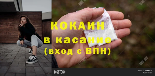 сатива Белокуриха