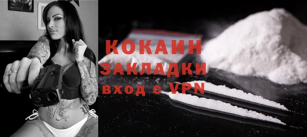 мескалин Богородицк