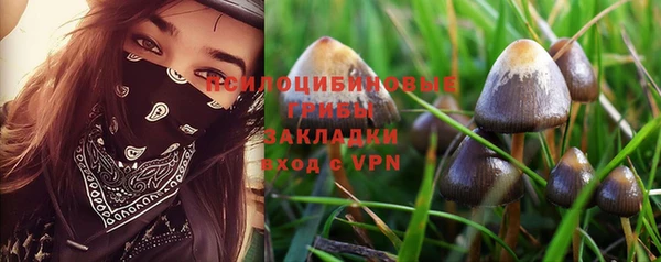 а пвп мука Богородск