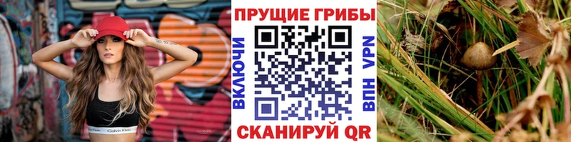Галлюциногенные грибы мухоморы  Купить где  Дорогобуж 