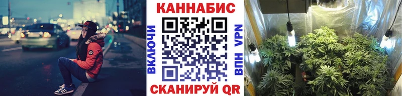 Купить где  Дорогобуж  Марихуана семена 